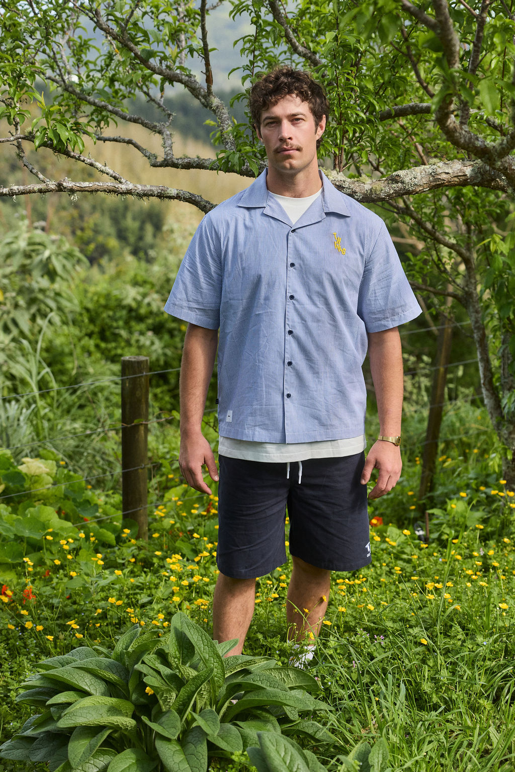 Mode Shirt - Pinstripe